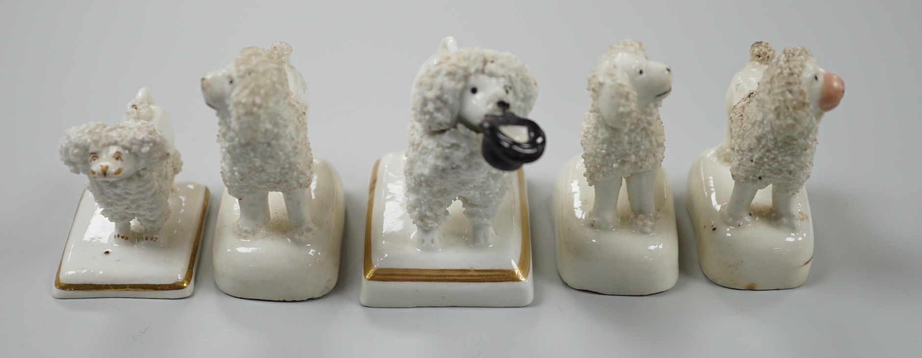 Five small Staffordshire models of poodles standing on their bases, to include a Lloyd Shelton white poodle with black muzzle, and a Lloyd Shelton white poodle with flicked tail (5), c.1830-50. Tallest 6cm, Cf. Dennis G.